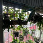IMG_0649.jpeg
