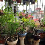 IMG_0653.jpeg