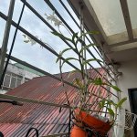 IMG_0659.jpeg