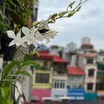IMG_0654.jpeg