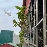 IMG_0655.jpeg