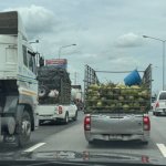 IMG_6250.jpeg