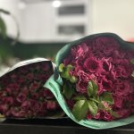 IMG_0756.jpeg