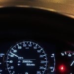 IMG_7918.jpeg