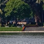 DCF0077Crop1.JPG