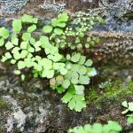 IMG_5946.jpeg