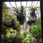 IMG_1126.jpeg