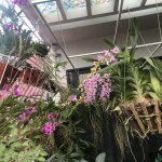 IMG_1581.jpeg