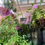 IMG_1647.jpeg