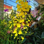 IMG_3165.jpeg