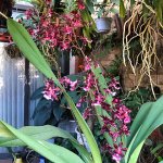 IMG_3164.jpeg