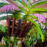 IMG_3526.jpeg