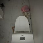 IMG_2110.jpeg