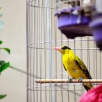 IMG_1897.JPG