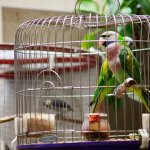 IMG_1881.JPG