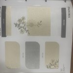 IMG_1211.jpeg