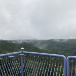 IMG_5175.jpeg