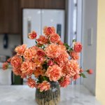 IMG_0765.jpeg