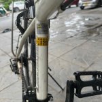 IMG_0348.jpeg