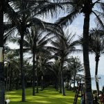 IMG_6180.jpeg