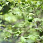 IMG_1170.jpeg