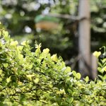 IMG_1157.jpeg
