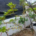 IMG_1740.jpeg