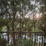 IMG_9888.jpeg
