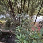 IMG_9889.jpeg