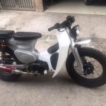 IMG_4119.jpeg