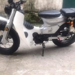 IMG_4120.jpeg