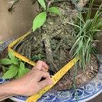 IMG_3207.jpeg