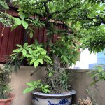IMG_3210.jpeg