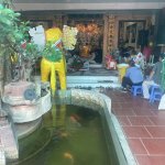 IMG_3990.jpeg