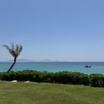 IMG_6298.jpeg