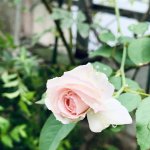 7143C15C-D901-42C4-80A7-B505C3F71C02.jpeg