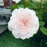 D8FD700F-7FB9-40E4-86A0-A6FF0A4EF5D9.jpeg