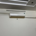IMG_3693.jpeg