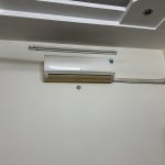 IMG_3692.jpeg