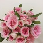 IMG_0486.jpeg