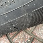 IMG_2444.jpeg