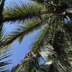 IMG_6311.jpeg
