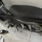 IMG_3364.jpeg