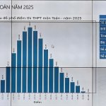C7E47C9E-2DB6-49E3-A1B4-3826CB601C0C.jpeg