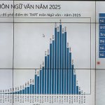 96996236-0A3B-4AC8-957F-4C7887E7E916.jpeg