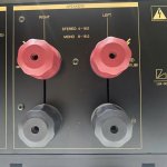 IMG_7833.jpeg