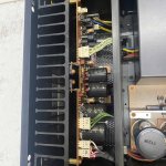 IMG_7837.jpeg