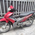 IMG_4184.jpeg