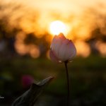 _7R37139.jpg