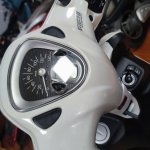 IMG_4203.jpeg